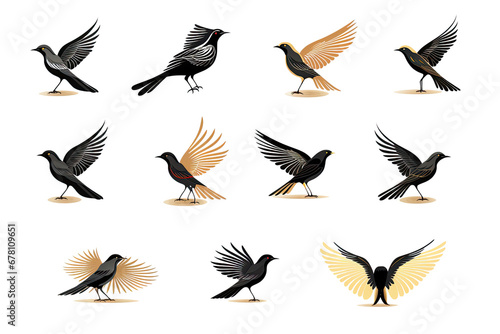 Set of flying birds. Silhouette of a bird flying on transparent background, PNG file