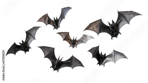 Halloween black bat on transparent background, white background, isolated, icon material