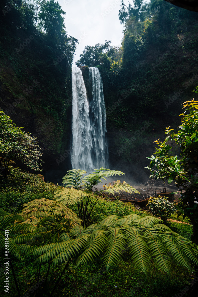 waterfall in jungle