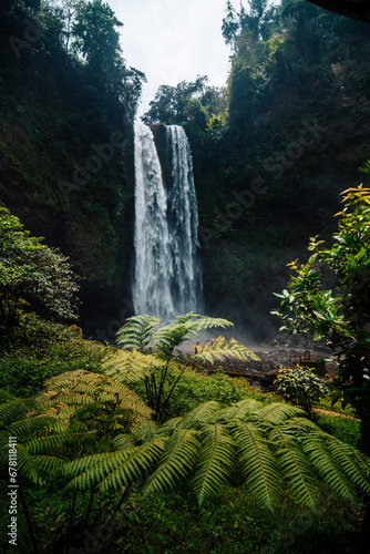Obraz na płótnie waterfall in jungle w salonie