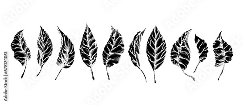 Linoprint leaf. Vector botanical stamps. Herbarium