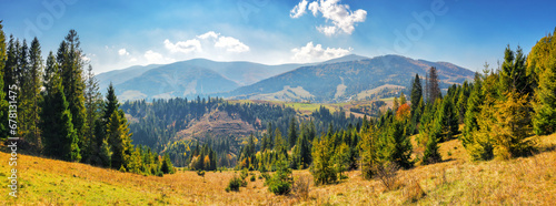 panorama of mountainous carpathian countryside in autumn. forested hills rolling down in to the distant rural valley. beautiful scenery on a sunny day with clouds on the sky © Pellinni