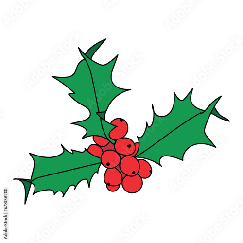Holly with red berries on white background. Postcard, banner design element and sticker
