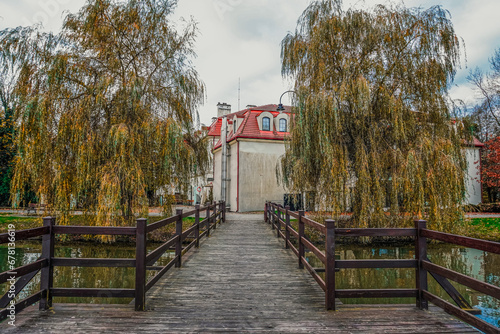 Obraz na płótnie Staw hodowlany z pomostem i wierzbami płaczącymi, jesienią w Zebrzydowicach na Śląsku w Polsce w salonie