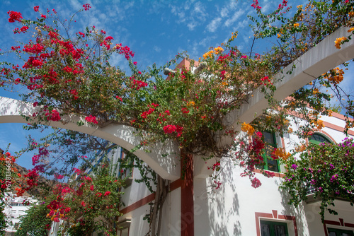 Houses with flowers in the Spanish town of Puerto de Mogán