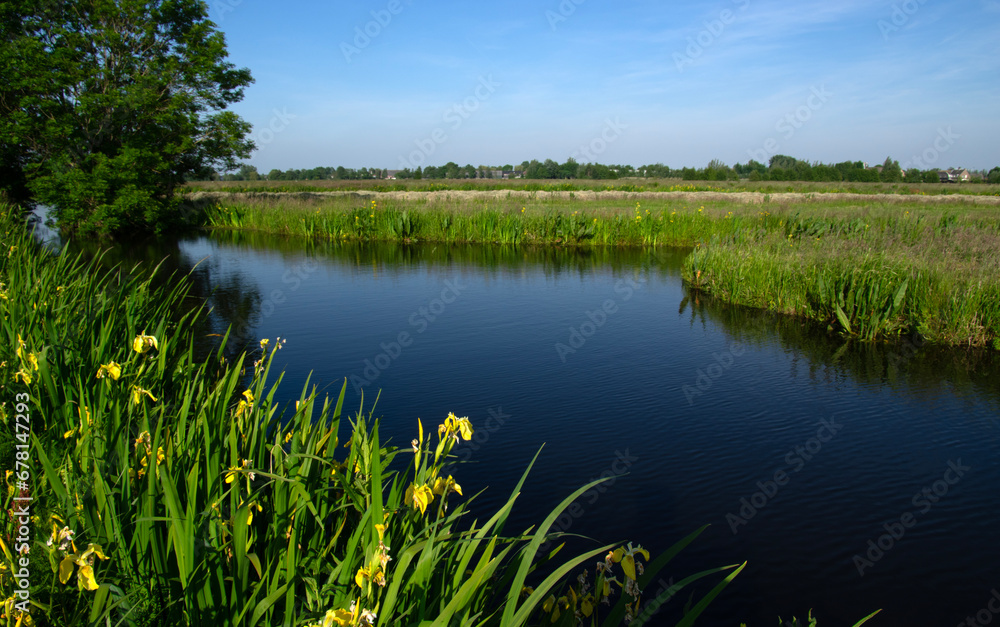 Landscape green meadow and canal with clear water