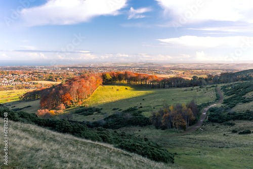 Scottish Highlands forest or woods on a hill with green grass pasture in fall with colourful autumnal foliage. Vibrant red, yellow and orange colours.