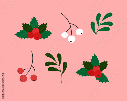 christmas greenery set. vector illustration of winter holly, berries and leaves. new year floral decorations and ornaments