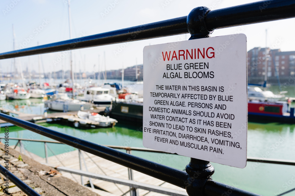Fototapeta premium Sign at a marina warning the public about the dangers of Blue-Green algae