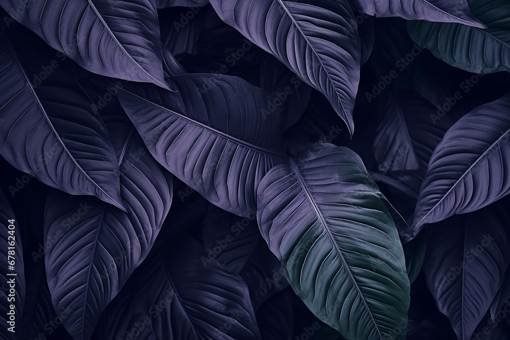 Tropical leaf, leaves collection for design with dark color, creative and minimal art nature background,decoration pattern, aesthetic look Tropical leaf, leaves collection for design with dark color, creative and minimal art nature background,decoration pattern, aesthetic look