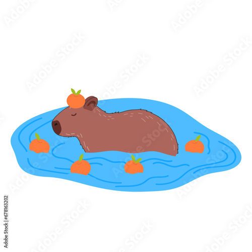 Capybara funny character in flat design. Cute capybara swimming in water with mandarins vector illustration