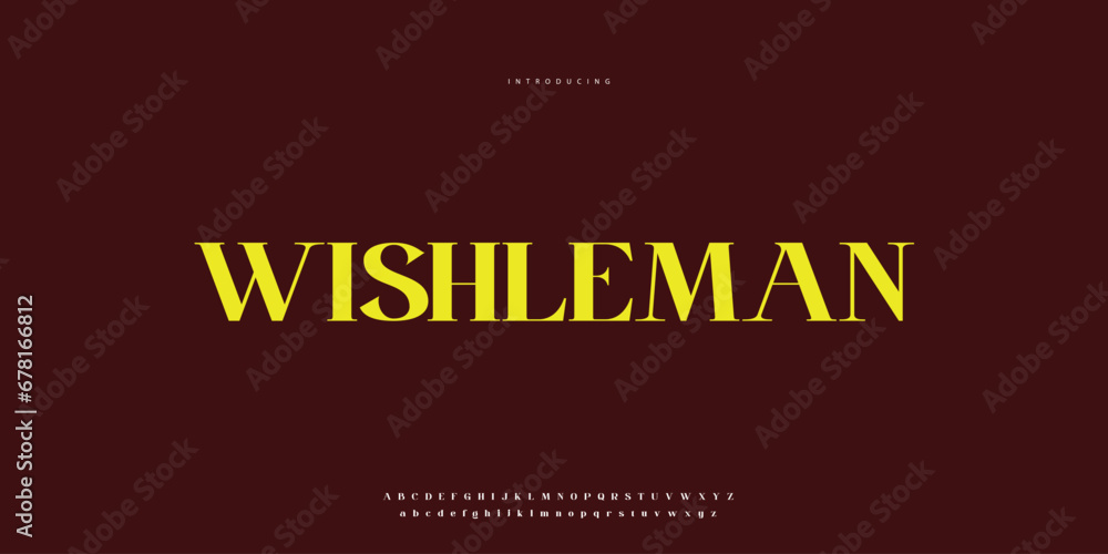Elegant Font Uppercase Lowercase and Number. Classic Lettering Minimal Fashion Designs. Typography modern Serif fonts regular decorative vintage concept. vector illustration Elegant Font Uppercase Lowercase and Number. Classic Lettering Minimal Fashion Designs. Typography modern Serif fonts regular decorative vintage concept. vector illustration