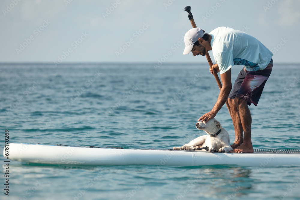 a guy on a sup board with a paddle with a dog stands on the sea in summer, Stand Up Paddle - obrazy, fototapety, plakaty 