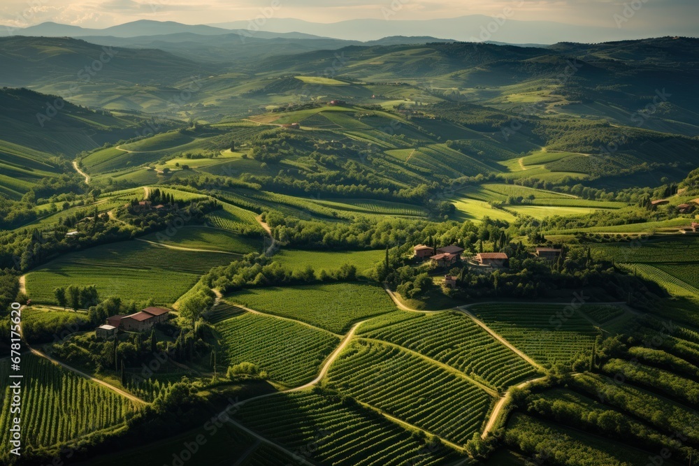 Aerial View of Lush Green Vineyards in Tuscany, Italy.