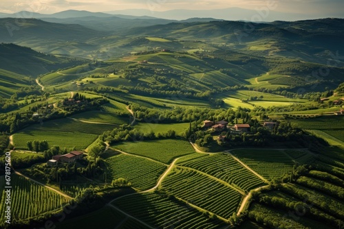 Aerial View of Lush Green Vineyards in Tuscany, Italy.