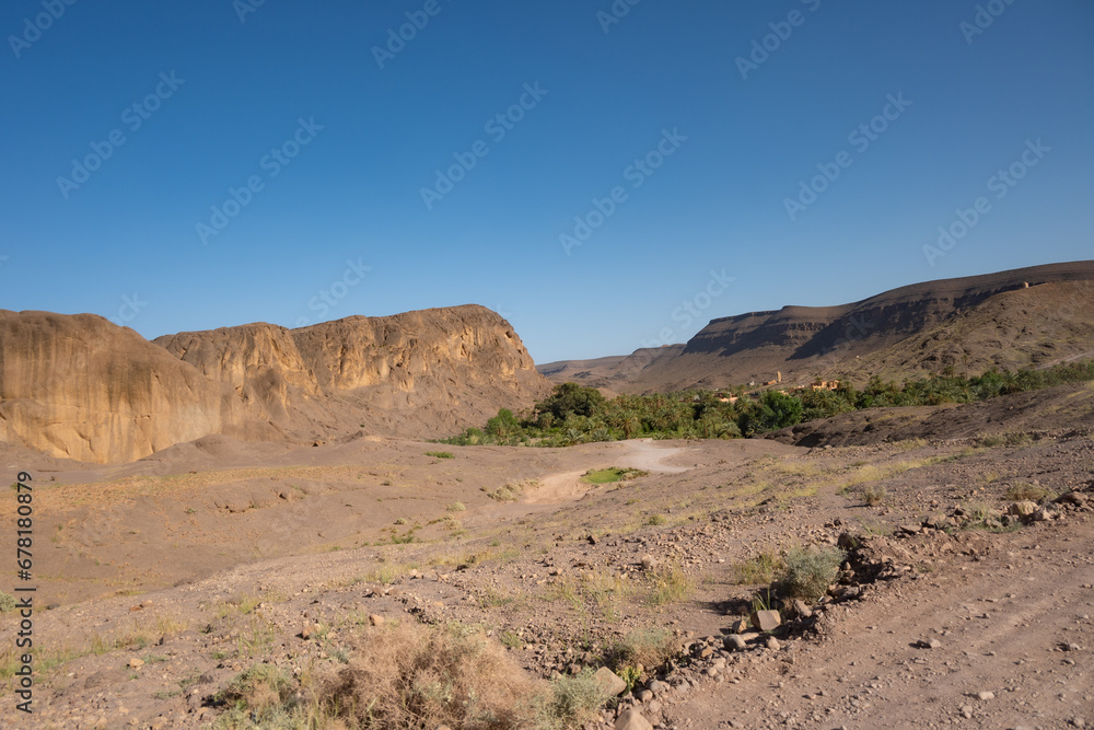Sahara Desert rocks next to an oasis in North Africa