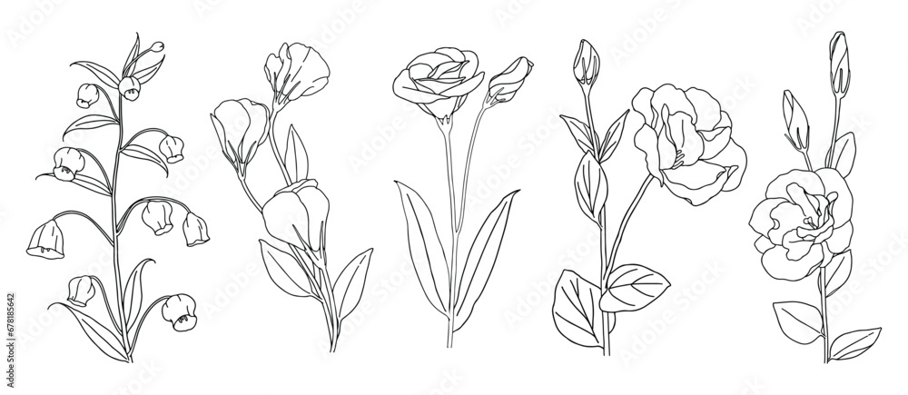 Line art floral abstract minimal collection, Flower line art frame, Black linear set of flower, Hand painted bunch of flowers, Spring floral isolated on white background, Floral illustration for desig