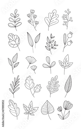 Foliage and floral doodle elements set. Collection of seasonal leaves and flowers. Plants coloring hand drawn. Outline flat vector graphic illustration