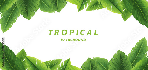 banana leaves tropical border background