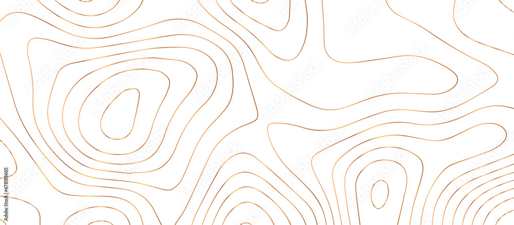 Panorama view gradient multicolor wave curve lines banner background design. Vector illustration. wave Line topography map contour background .Abstract Topographic map background with wave line.