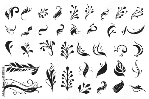 Set of silhouettes of branches and leaves. Hand drawn vector botanical elements. Floral elements