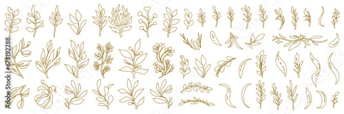 Set of tiny wild flowers and plants line art vector botanical illustrations. Trendy greenery hand drawn black ink sketches collection