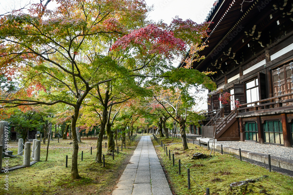 秋の京都 真如堂境内
