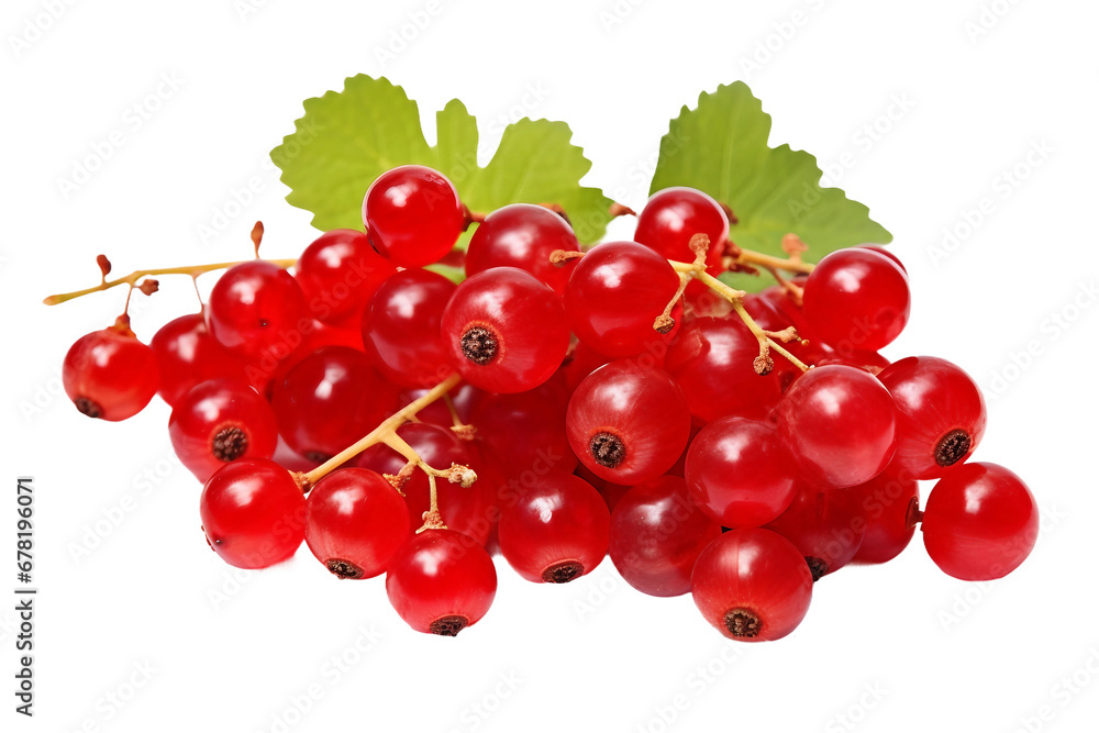 Currants on a transparent background