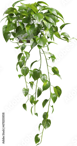 Side view of potted houseplant