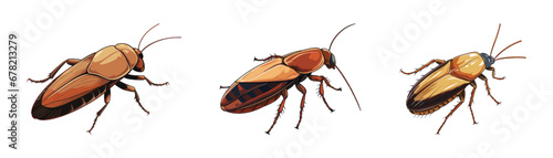 Cartoon cockroach icon. Vector illustration