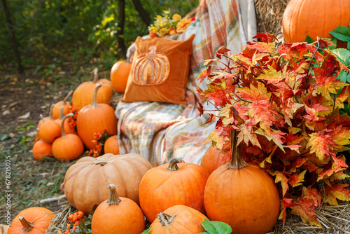 Beautiful autumn location with pumpkins  Halloween