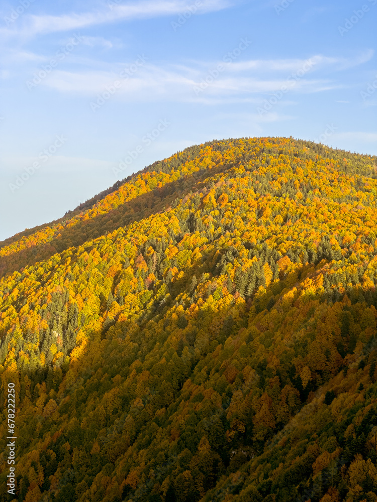 Autumn scenery in Uludag National Park, Turkey - Autumn landscape in a sunny day.