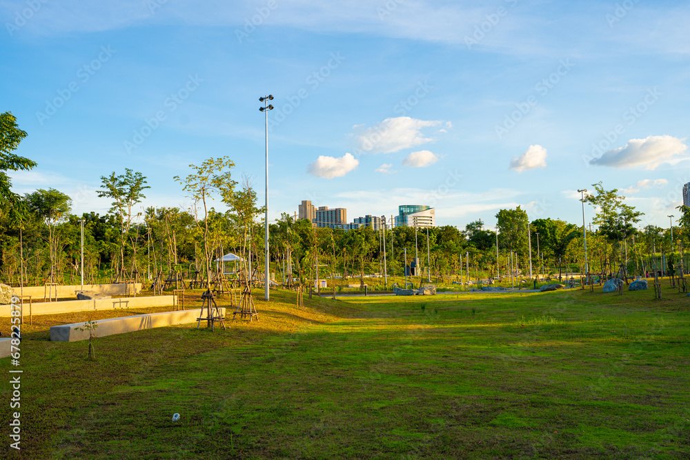 Obraz premium Green city park tropical tree forest sky with cloud