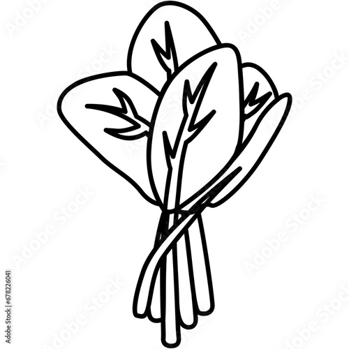 Spinach Icon