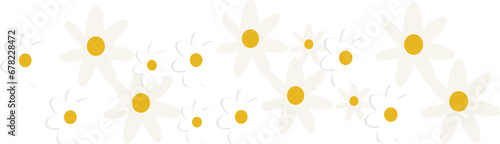 Set of the floral arrangements. White daisy flower.