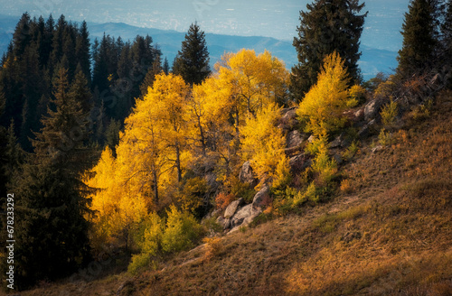 Beautiful mountain golden autumn landscape with yellow trees and red grass, Trans Ili Alatau in the Tien Shan mountain system