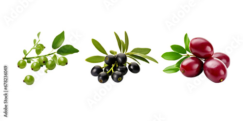 Caperberry isolated on white background