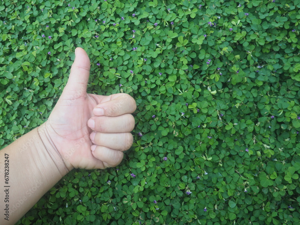 green leafe cover and human hand feet show up sign of love and fight green leafe cover and human hand feet show up sign of love and fight