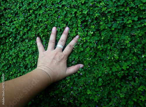 green leafe cover and human hand feet show up sign of love and fight 