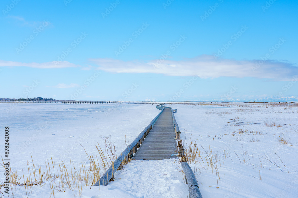 Naklejka premium 春国岱 冬の北海道根室観光 