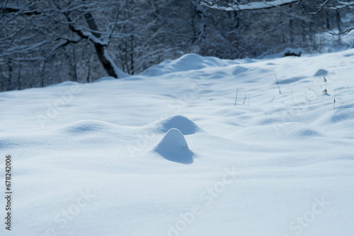 Footprints On The Surface Of The Snow