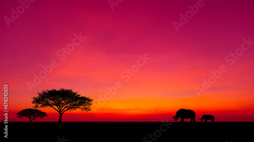 Amazing sunset and sunrise.Panorama silhouette tree in africa with sunset.Dark tree on open field dramatic sunrise.Safari theme.Giraffes.rhinoceros. © Mohwet
