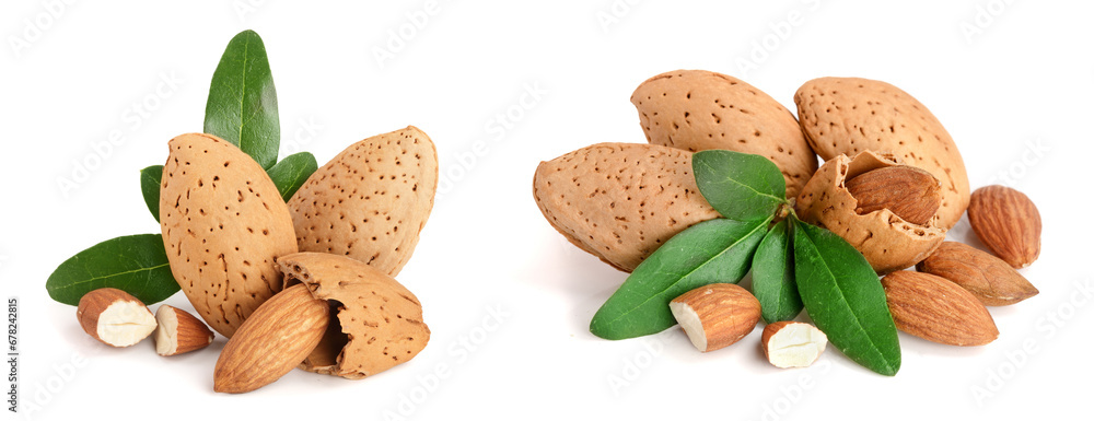 Group of almond nuts with leaves isolated on white background Group of almond nuts with leaves isolated on white background