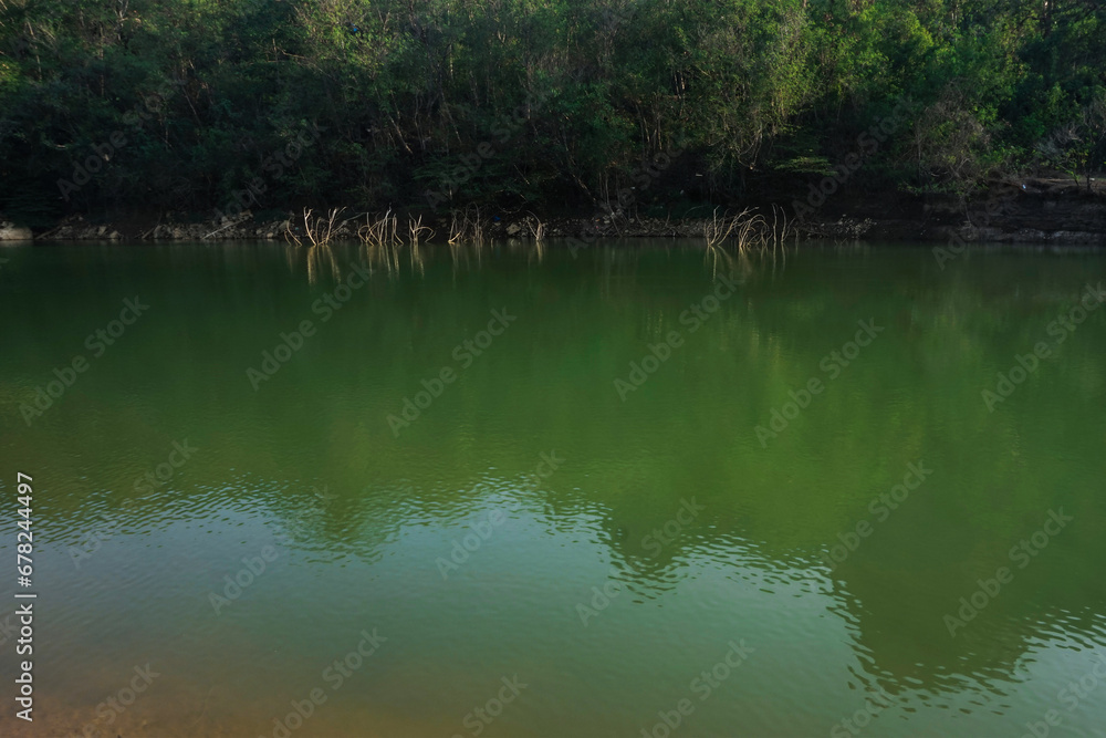 views of clear water lakes, mountains and trees views of clear water lakes, mountains and trees