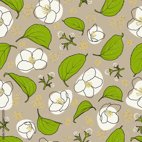Floral vector seamless pattern with outline jasmine flowers, leaves and buds.