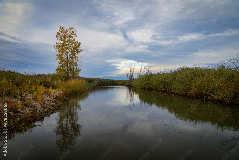 Fototapeta premium Wild Fowl Bay State Wildlife Area (2023)