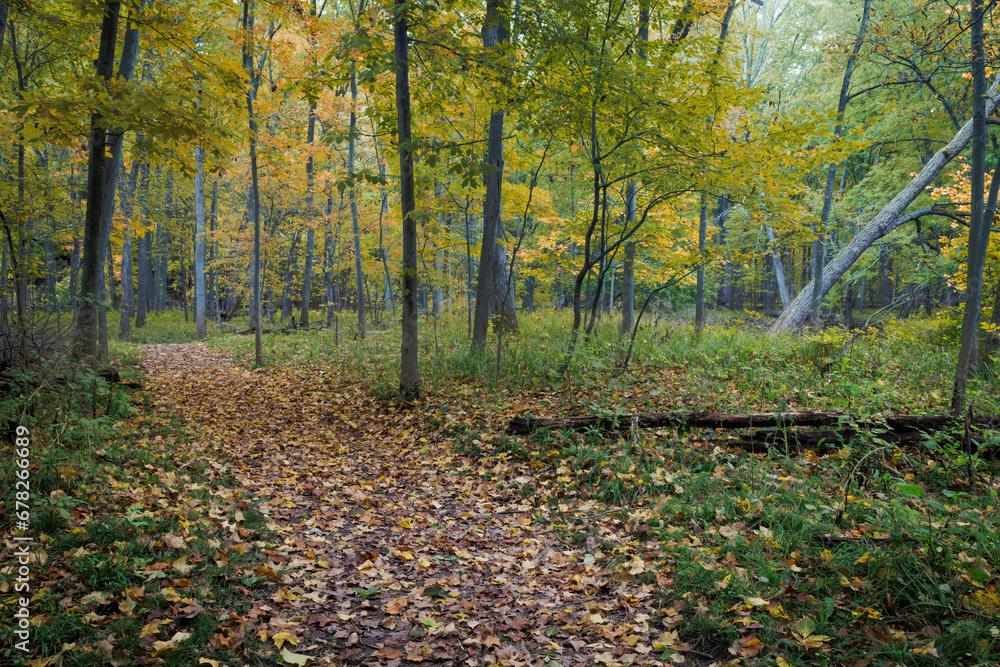 Harris Nature Trails (2023)