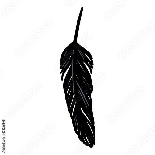 Black Feather