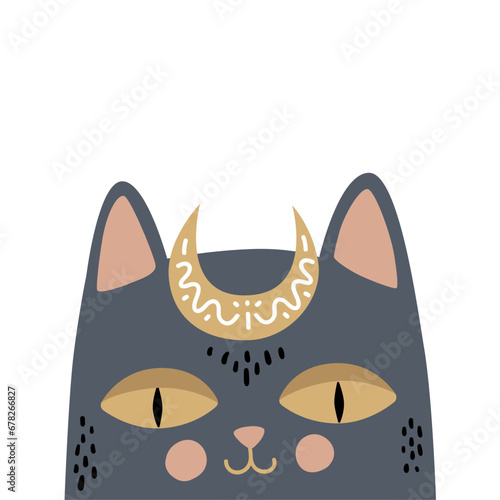 Oracle Black Cat