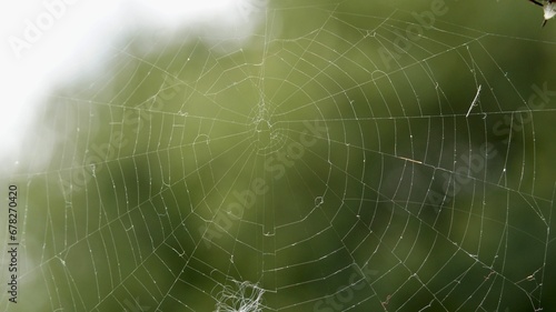 Closeup shot of a carefully woven spiderweb
